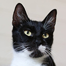 Bezzeganya & Familie 