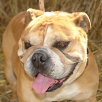 Tony&oacute; - reserviert 