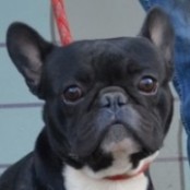 Ashton Kutcher - RESERVIERT