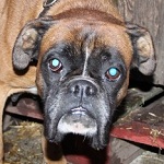 Bili&aacute;rd - RESERVIERT