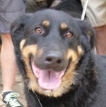 Bonif&aacute;c (Boni)