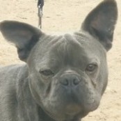 DanyBlue - RESERVIERT