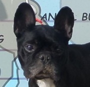 Edg&aacute;r - reserviert