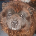 Espresso - RESERVIERT