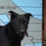 &Uacute;ton&aacute;ll&oacute; Evelin