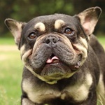 Florian - RESERVIERT