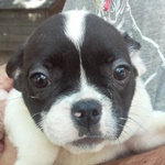 GasTony - reserviert