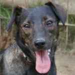 Gy&aacute;li Győző