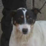 Batta Heni - Vermittelt