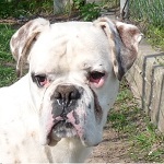 Hypop&ouml;tty - reserviert