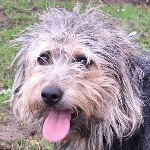 &Aacute;komb&aacute;kom Irka