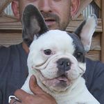 Karaoke - RESERVIERT