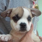 Kerozin - reserviert 