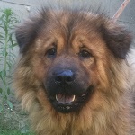 Leopolda - Reserviert