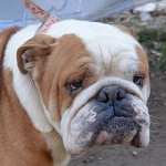 Liverpool - RESERVIERT