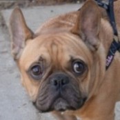 Malcolm - RESERVIERT