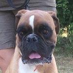 M&aacute;rna - reserviert