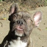 Lenti Massimo - RESERVIERT