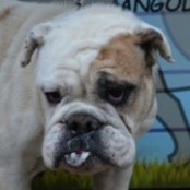 Matilda - RESERVIERT