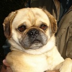 Maty&oacute; - Reserviert