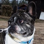 Milkyway - reserviert 