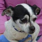 Miss Sporty - RESERVIERT