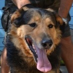 &Ouml;nk&eacute;ntes