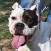 Perei Mirjam - RESERVIERT