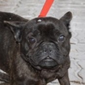 Rainbow - RESERVIERT