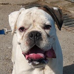 RippelFeri - reserviert 