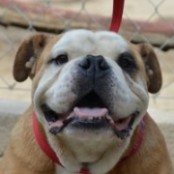 S&aacute;muel - RESERVIERT