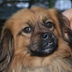 S&aacute;rgabors&oacute;