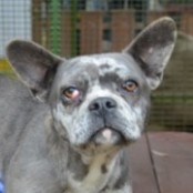 Ez&uuml;st - RESERVIERT