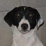 Sz&eacute;ps&eacute;ges Mama