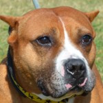 Tyson