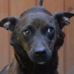 Tiszavir&aacute;g Mama