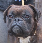 T&uacute;r&oacute; - RESERVIERT