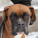 Ty&uacute;kica - RESERVIERT