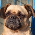 Vit&aacute;lia - RESERVIERT