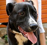 Wilbur