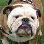 Zsanett - reserviert