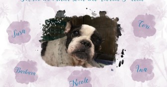 Keine Hoffnung auf Genesung f&uuml;r M&aacute;l&eacute; :(