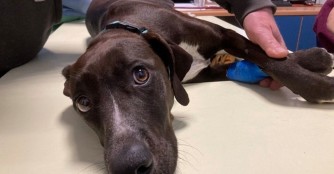 Barba Mama geht es pl&ouml;tzlich sehr schlecht