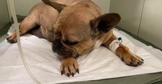 Nadia scheint dem Tod nur knapp entkommen!