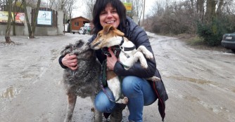 7 Auslands-Happy-Ends in der Weihnachtswoche!!!