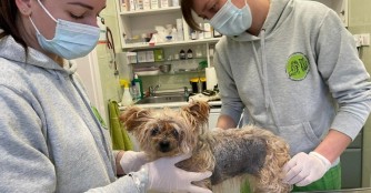 Grace suchte Hilfe bei einem kleinen M&auml;dchen