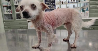 Lace wartete tagelang auf Hilfe