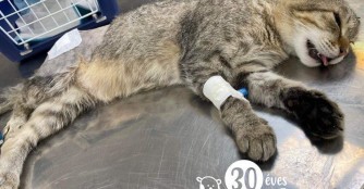 3 orthop&auml;dische OPs an einem Tag!