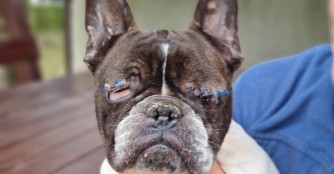 Trina hat ein Auge verloren, aber auf dem Andern kann sie wieder sehen!