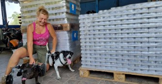 Riesige  Spende  von Gooding!  